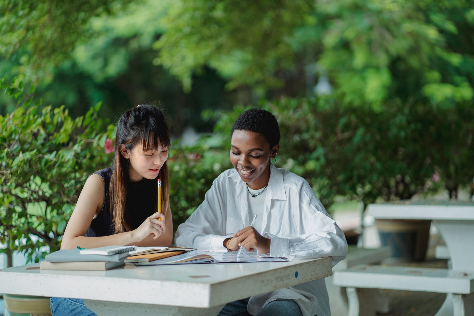 对比大学综合排名和专业排名的示意图